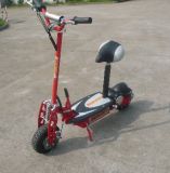800W Electric Scooter[Sx-1013-800]