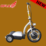 350W/500W 3 Wheel Electric Scooter