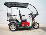 70cc 110cc Disabled Vehicle Handicapped Tricycle 2015 New Design
