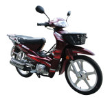 Motorcycle (GW110-D)