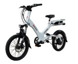 CE Electric Scooter
