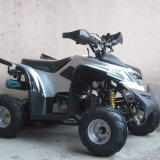 50cc-125cc ATV Quads with Strong Suspension (JY-110-ATV07)
