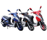 Gas Scooter with EPA, DOT, EEC, COC Approval (50cc-1)