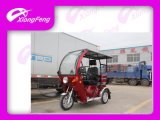 Handicapped Tricycle, Discapacitados Triciclo, Driver Cover Tricycle