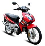 CUB Motorcycle (SM110-10A)
