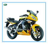 Martial 250cc/200cc/150cc Racing Motorcycle, Sport Motorcycle, Racing Motor, Sport Bike (Martial-200cc)