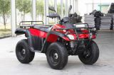 300cc 4X2/4X4 EEC ATV & Quad (LZA300E-B)