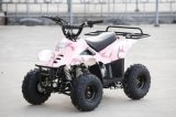 110CC Quad ATV (LZ110-2)