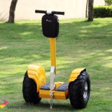 China 2 Wheel Electric Smart Scooter
