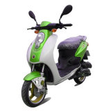 Gas Scooter (YM50QT-T)
