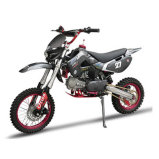 125cc Dirt Bike, ATV, Good Design (ZC-Y-405)