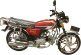 Motorcycle (GW100-2)