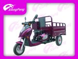 Cargo Tricycle for Disabled People (XF110ZH-10A)