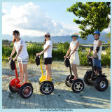 Outdoor Chariot Electric Mobility Scooter (I2)