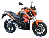 Motorcycle (GW200-13)