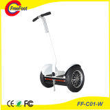 2 Wheel Electric Standing Scooter
