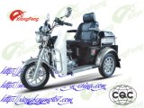 Handicapped Tricycle, Discapacitados Triciclo, Driver Cover Tricycle