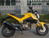 Bsxmoto Bsx110-Ts Excellent and Cheapest Motorcycles Sports Bikes China Manufacturer for OEM New Designed for 2016
