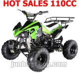 CE 110CC ATV 125CC ATV 110CC Quad 125CC (ATV DR730)