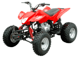 ATV/Quad (WJ200ST-6 )