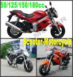 2014 New 50cc 150cc 180cc CVT Racing Motorcycle