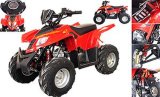 110cc ATV / Quad (ATV110S-3)