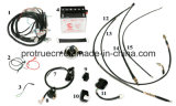 Wire Spare Parts for Tricycle (SP-SP-08)