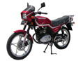 Motorcycle DFE125-3