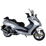 Steed 150cc EEC Gas Scooter