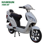 Electric Bike (HSM-307)