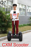 Environmental Protection 19 Inch Self-Balanicng Scooter