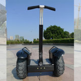CE Approved Folding Electric Bike/Hub Motor Electric Bicycle