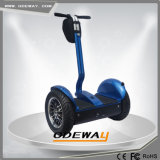 Re-Chargable Li-ion Battery 48V Electric Scooter