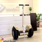 2 Wheel Electric Standing Scooter for Sale