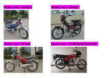 Moped/Motorcycle 48Q 50CC 70CC 100CC 110CC