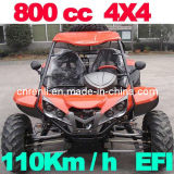 800CC Buggy 4x4 110km/H