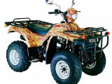 250cc Water-Cooled Manual Clutch ATV with EEC / COC
