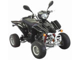 50CC Air-Cooled Chain Drive ATV with EEC / COC