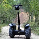 Two Wheels Outdoor Sports Electric Scooter/Mobility Scooter