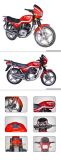 Motorcycle (Linmuwang RY125-6)
