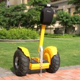 Electric Wind Rover off Road 2400W Electric Mobility Scooter