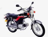 Motorcycle DJ100-2