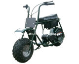Strong Charging Capacity Electric Vehicle ATV