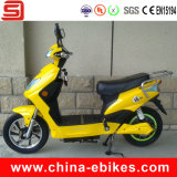 Electric Scooters for Sale (JSE210)