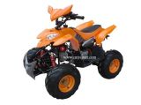 New Polaris ATV with Front Drum Brake and Rear Disc (110CC)
