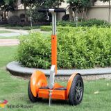 Fast Two Wheel Electric Balance Scooter