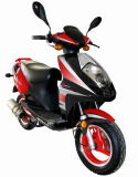 50cc/125cc EEC Approved Gas Motorcycle (DG-GS816)
