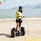 Self Balance Two Wheeled Electric Scooter