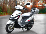 Sunny1 50cc Scooter