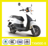 Gas-Scooter Series (TXM50E-5)